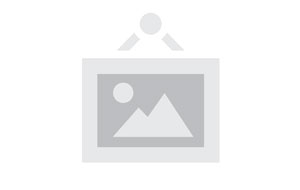 System Integration Services